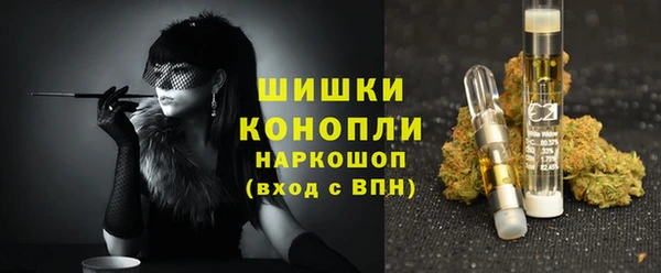 МДПВ Рославль