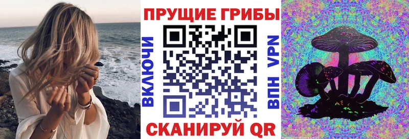 ссылка на мегу ONION  Урус-Мартан  Галлюциногенные грибы Psilocybine cubensis 